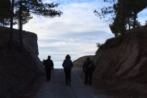 Puerto_Blanco-20
