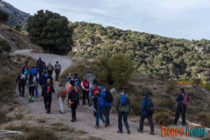 cortijo_carbonaes-19
