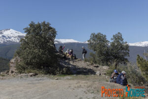 Aldeie-12